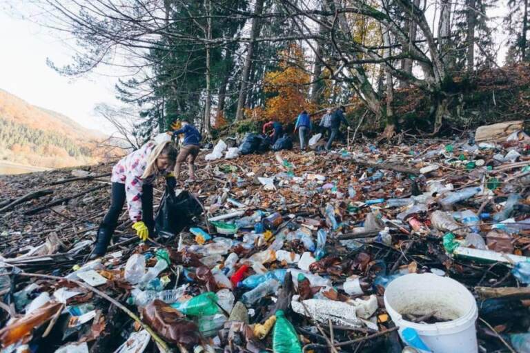 Громада і стратегія можуть врятувати довкілля
